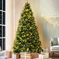 Jingle Jollys Christmas Tree 2.7M LED Xmas Tree Party Decorations 2590 Tips