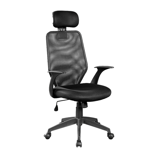 Ergonomic Mesh Office Chair